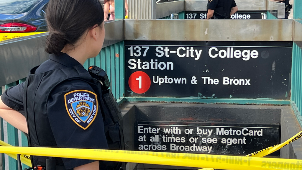 14-year-old stabbed to death on NYC train platform in broad daylight attack