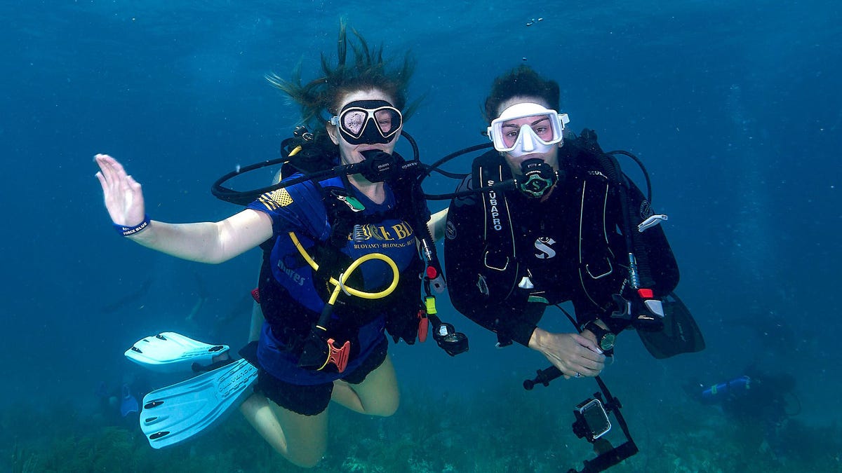 divers pose underwater islamorada