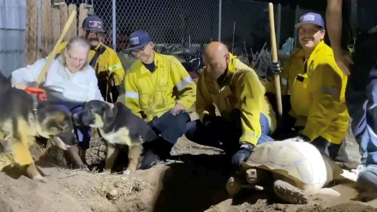 Rescue team from San Bernardino County Fire District take photo with puppies, Peo and Finn, desert tortoise, Oscar, and dog owner, Kathleen.