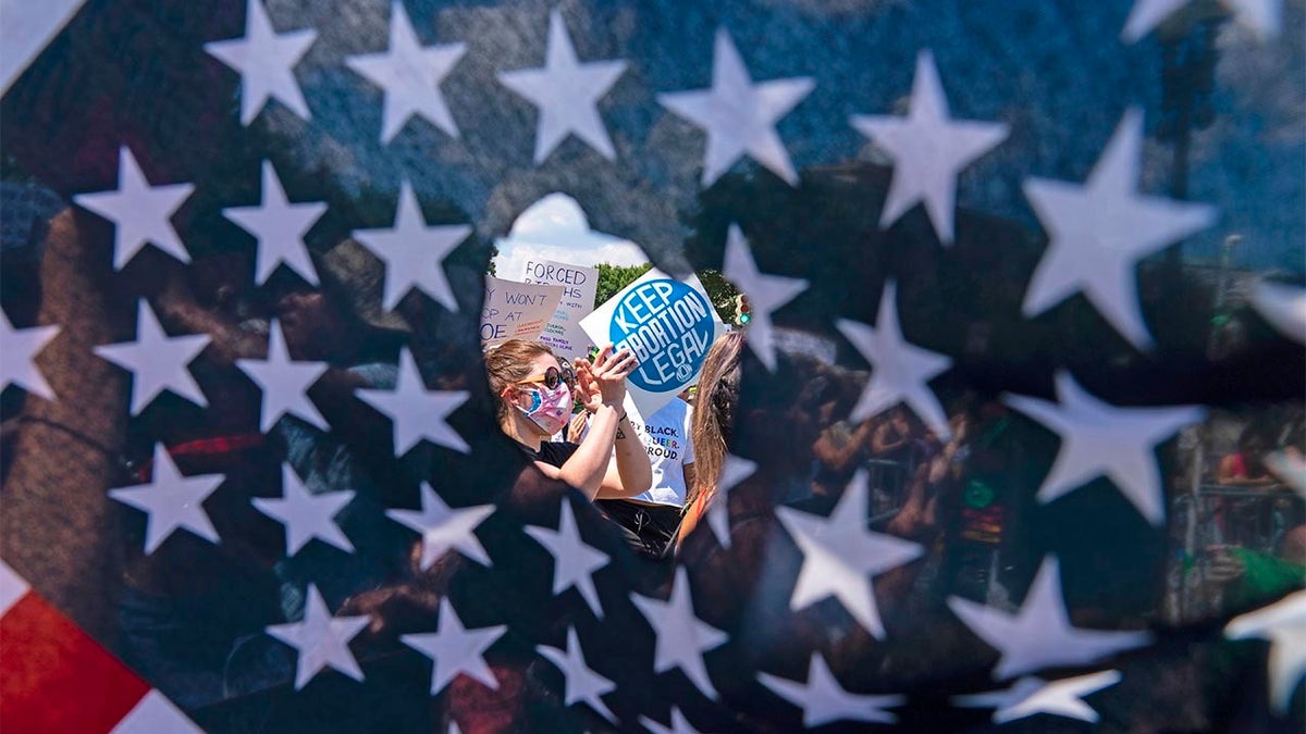 photo of pro-choice protester through flag