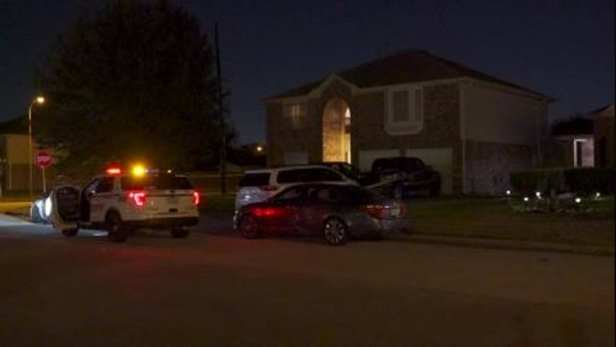 Houston-area stabbing