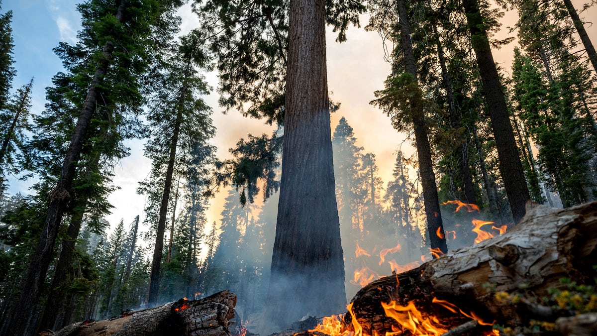 Yosemite