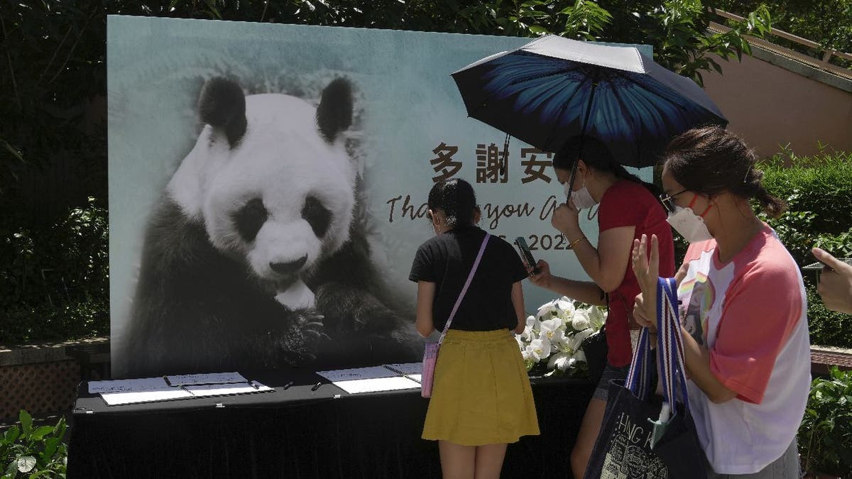 An An the panda condolence books