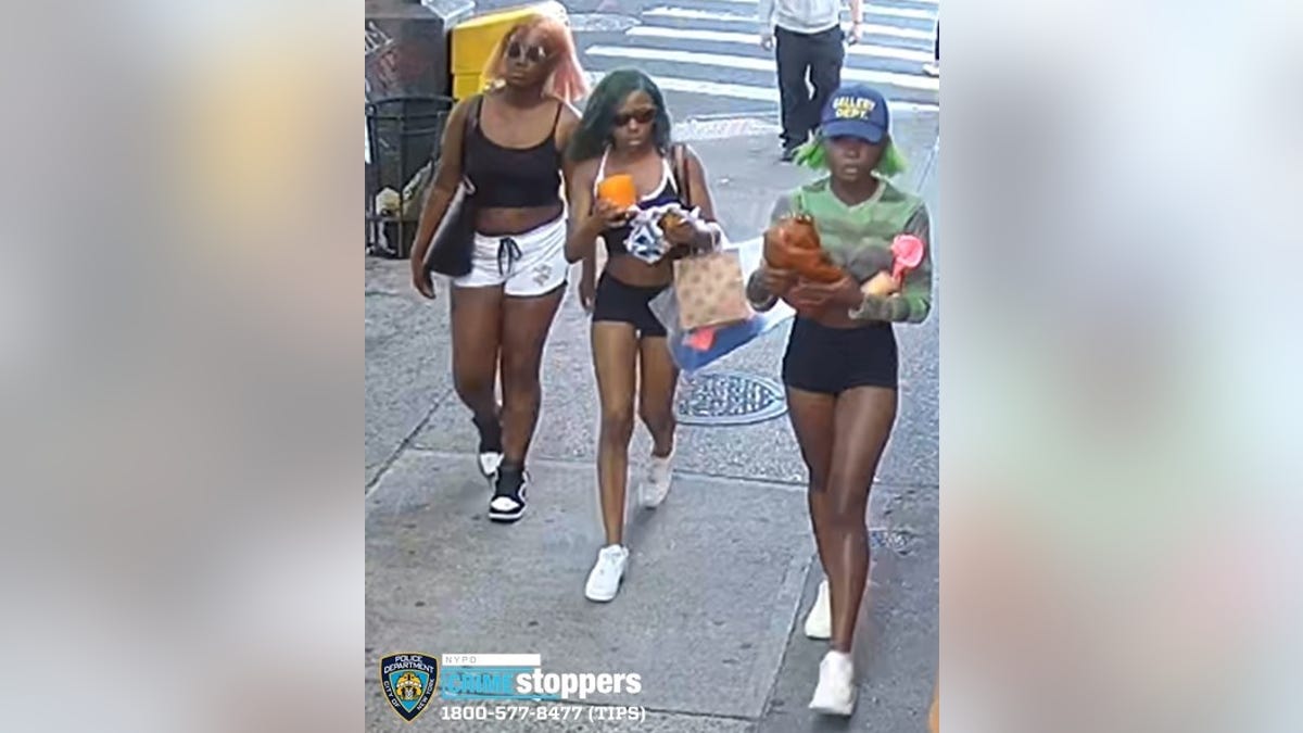 Suspects assault in Queens New York City