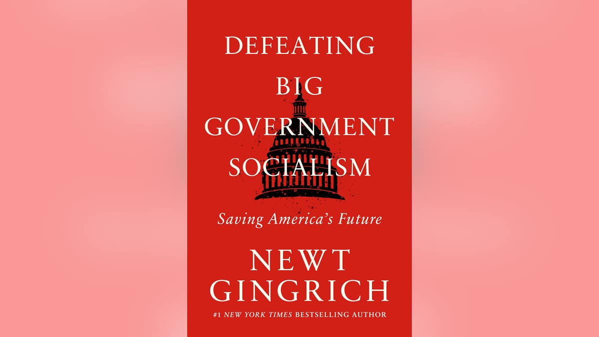 Big Government Socialism book cover