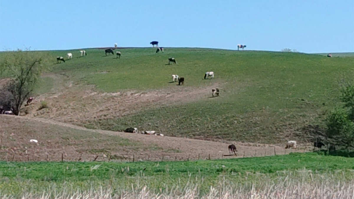 A field in Wisconsin