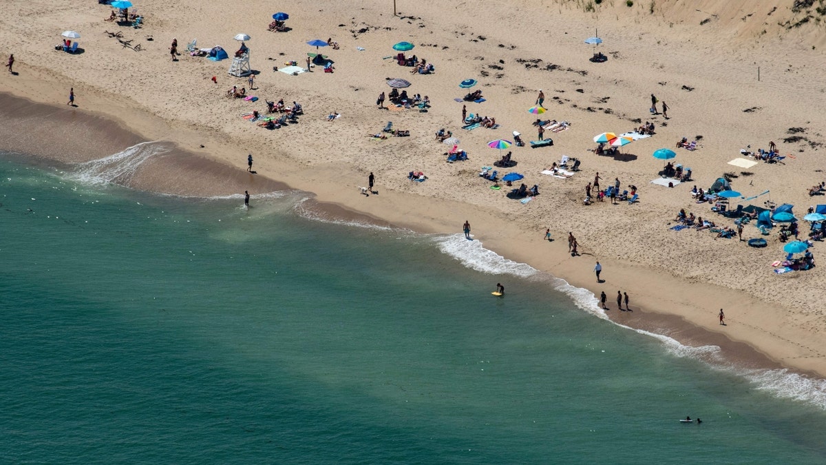 Cape Cod beach has experienced shark sightings recently