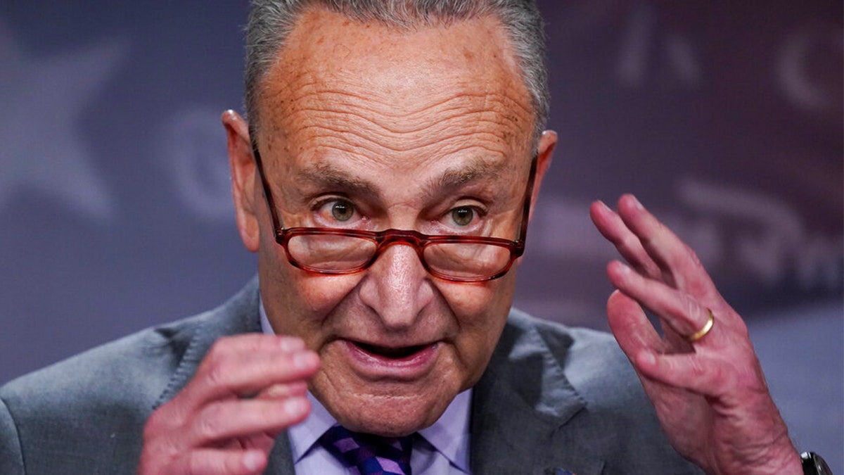 Senate Majority Leader Chuck Schumer Ukraine funding Russia Congress