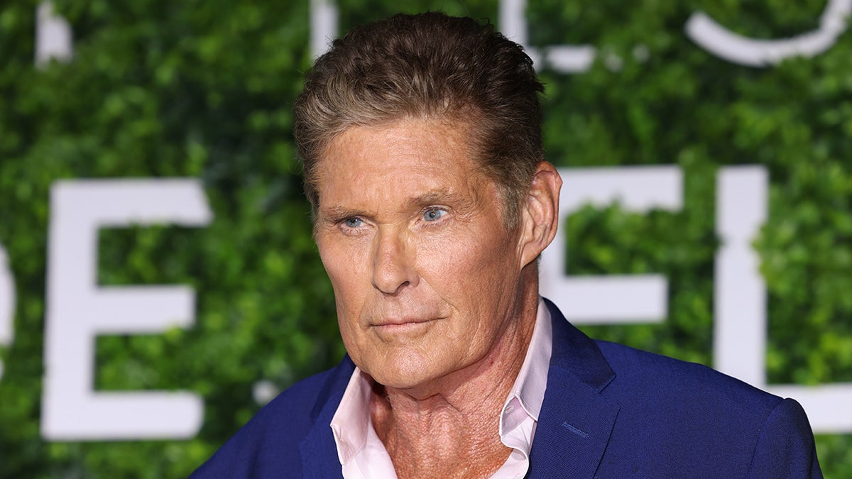 David Hasselhoff