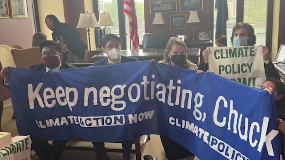 House Democrat staffers hold signs and wear masks to protest climate change