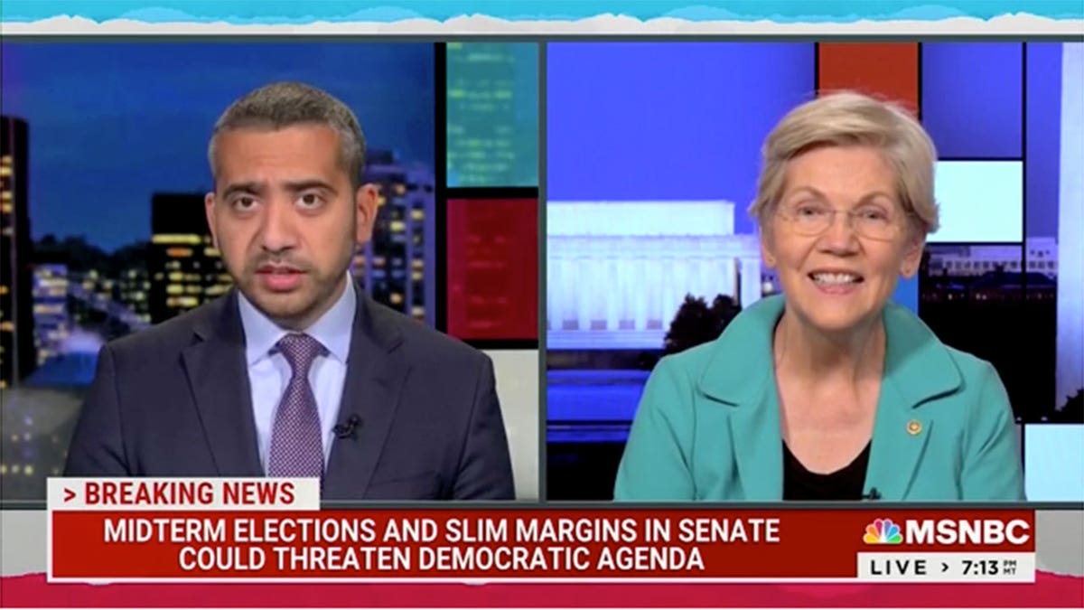 Elizabeth Warren on MSNBC