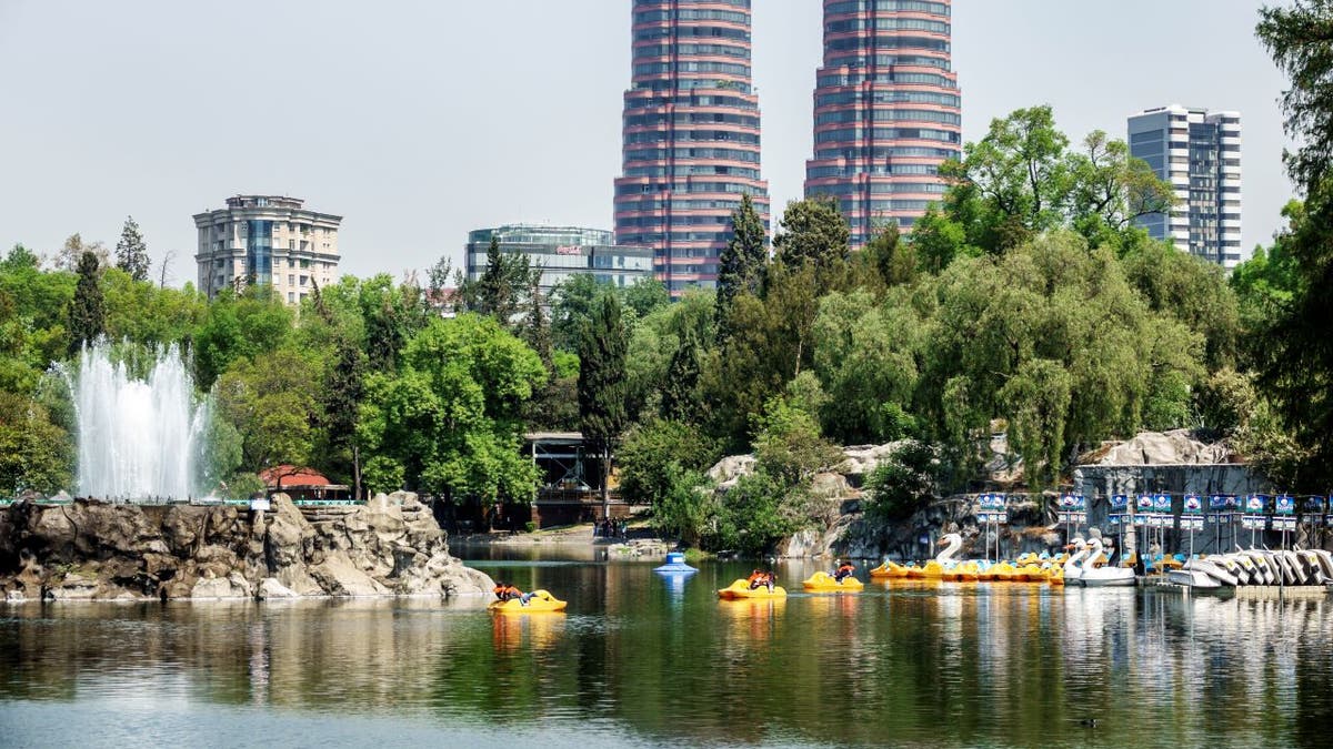 Paddle boats on a Mexico City lake with the skyline in the background