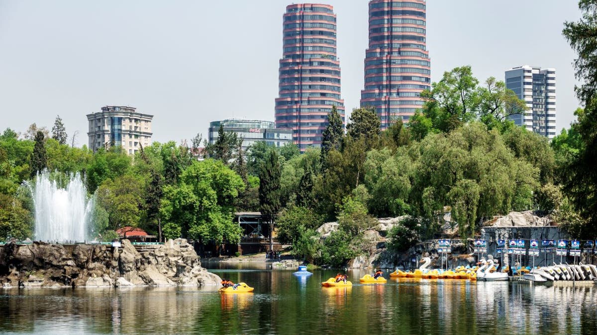 Paddle boats on a Mexico City lake with the skyline in the background