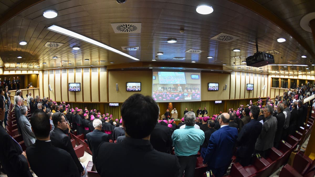 Pope Francis at the Synod of Bishops Amazon Brazil