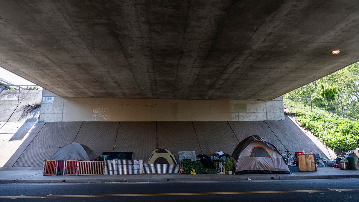 Sacramento homeless tents under freeway