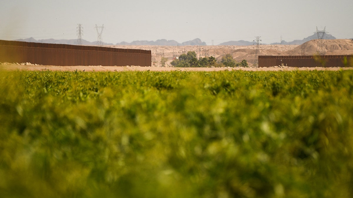 A distant photo of the Yuma sector border wall