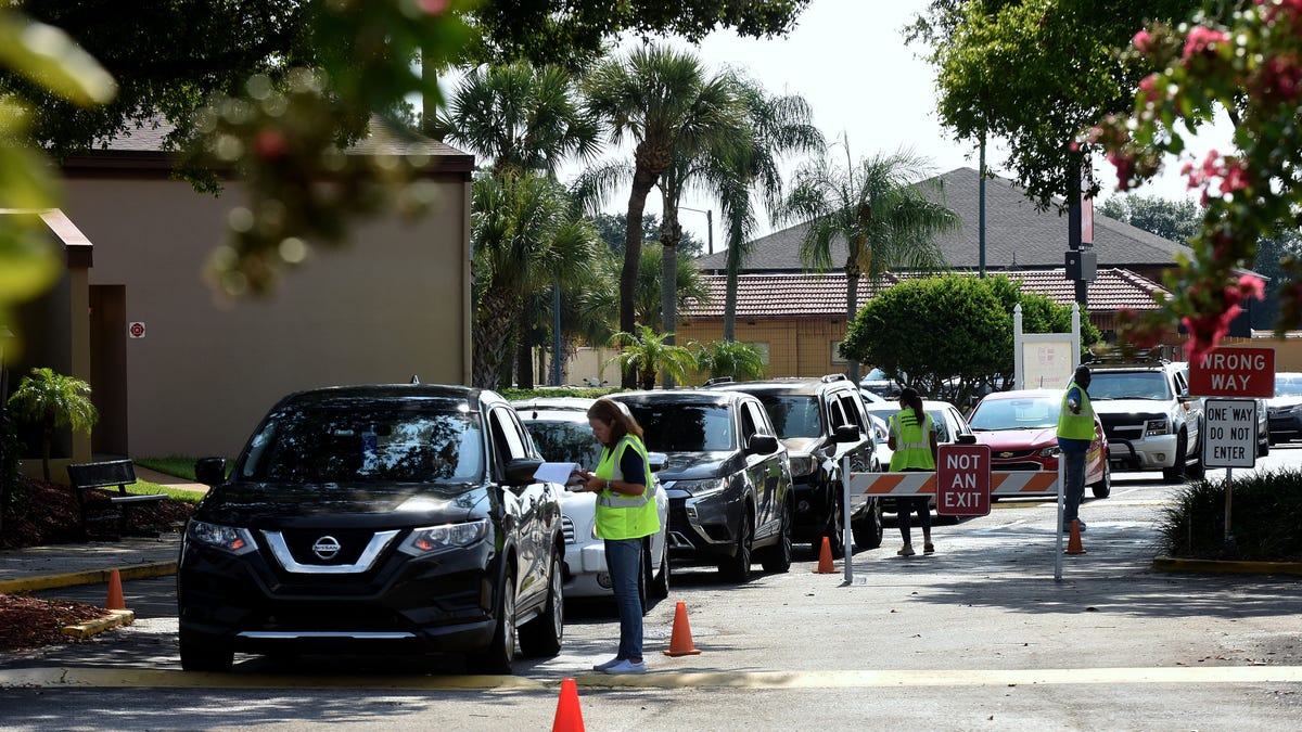cars line up at a food distribution event
