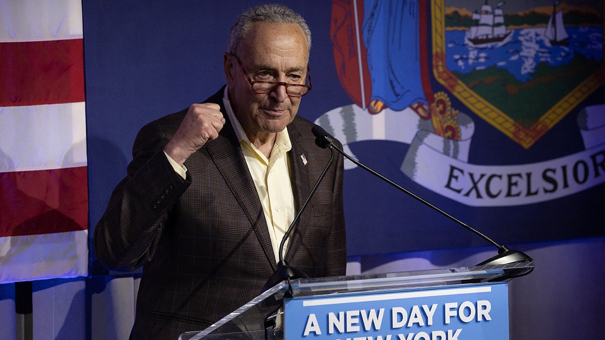 Senator Chuck Schumer New York