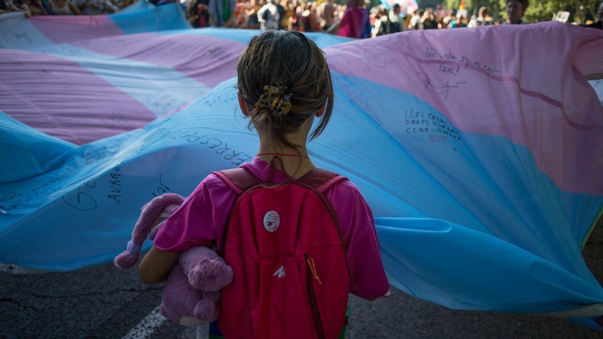 child holding transgender Pride flag