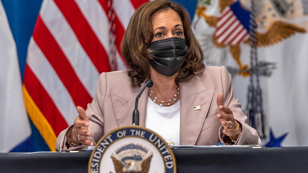 A photo of Kamala Harris behind a podium