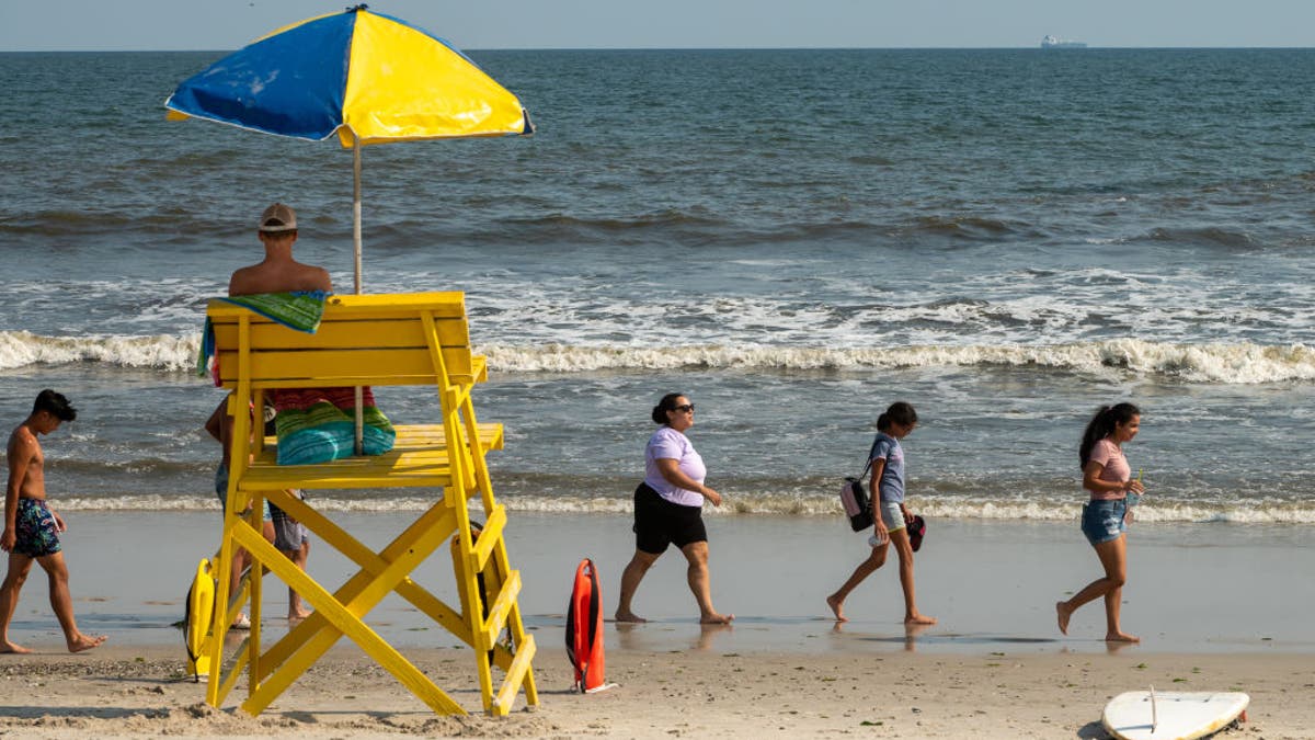 Long Island Beach Shark Attack Warning