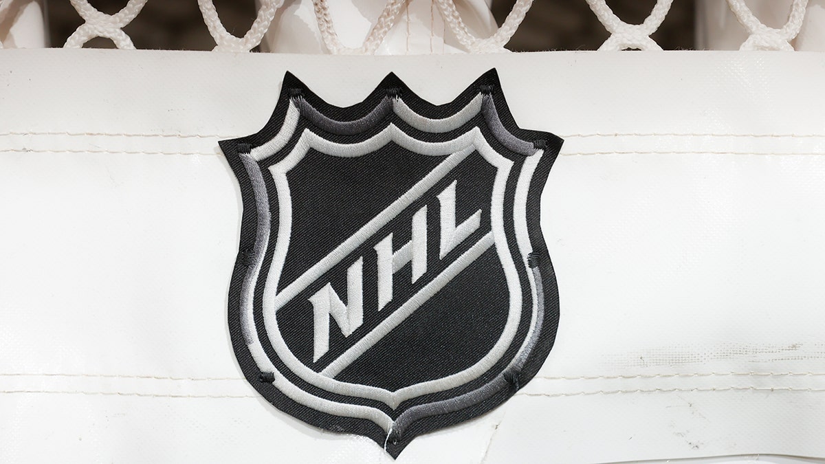 NHL Logo on goal