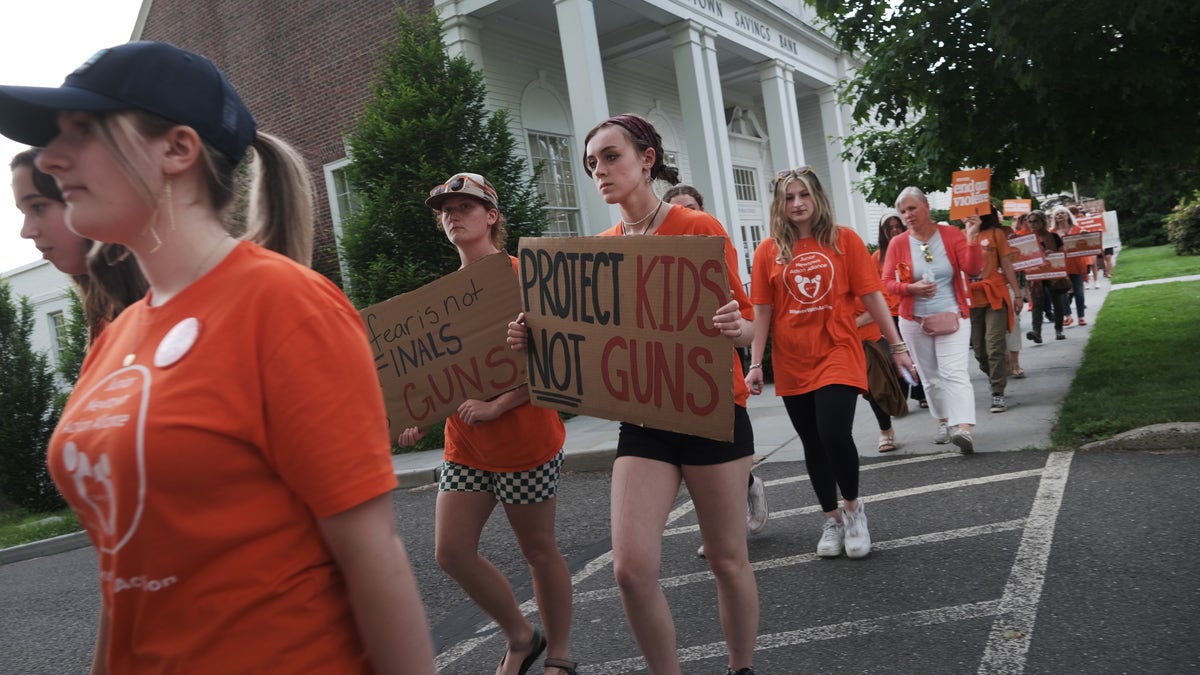 Sandy Hook gun control protesters