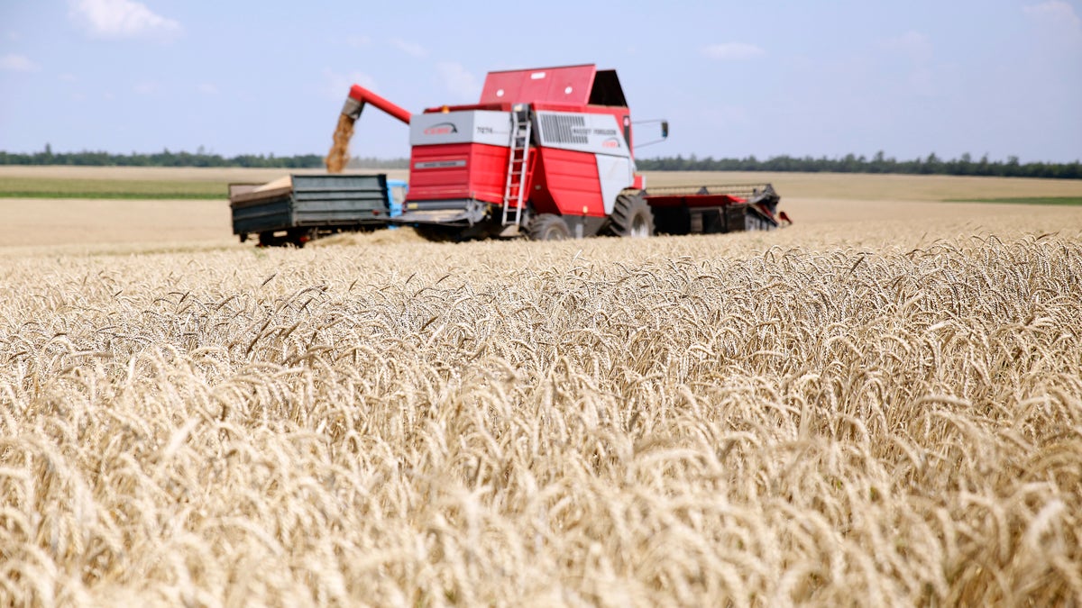 Nibulon grain in Ukraine