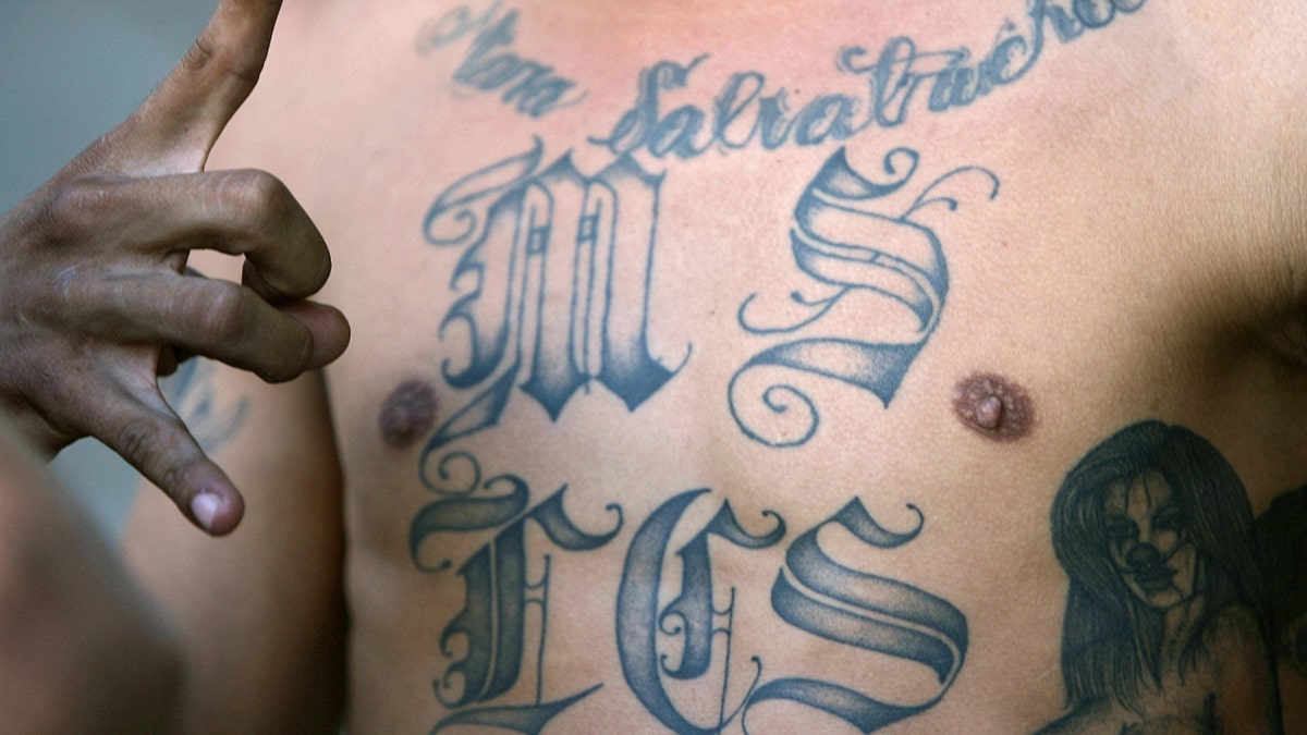 New York MS-13 Gang Member Pleads Guilty To 'brutal, Senseless, Vicious ...