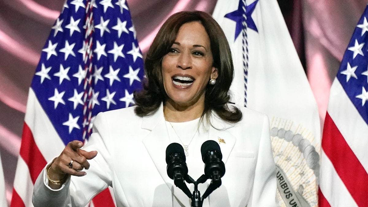 Vice President Kamala Harris picks up her politicla profile