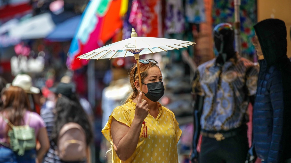 Shopper in Santee Alley