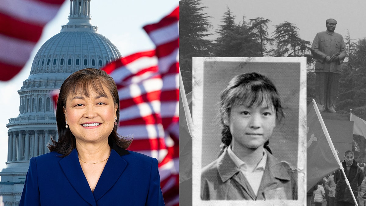lily tang williams new hampshire congress republican china communism