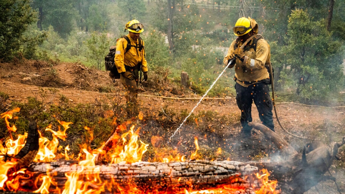 California's Oak Fire