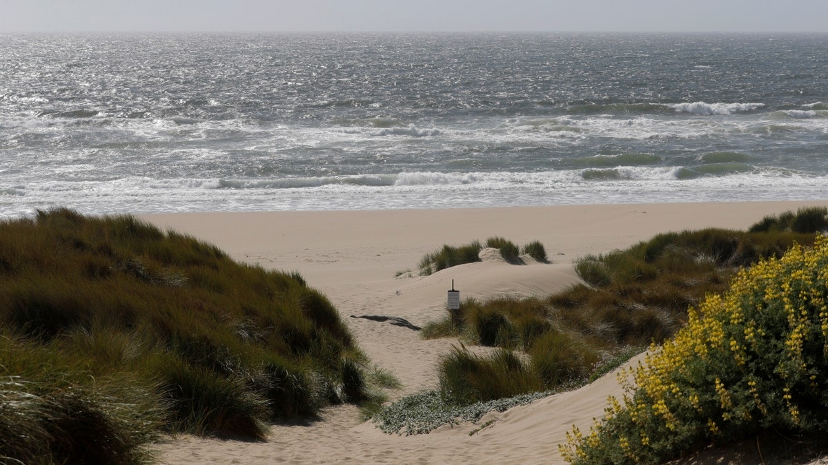 Kehoe Beach in Inverness, California