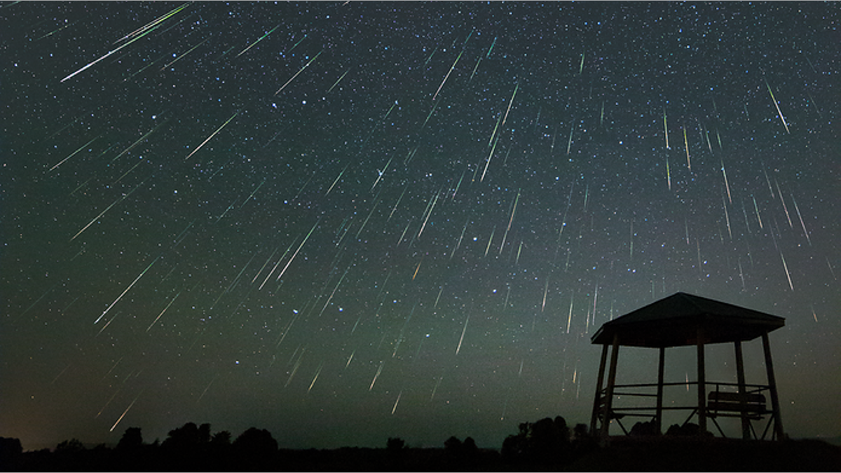 perseid meteor shower ontario