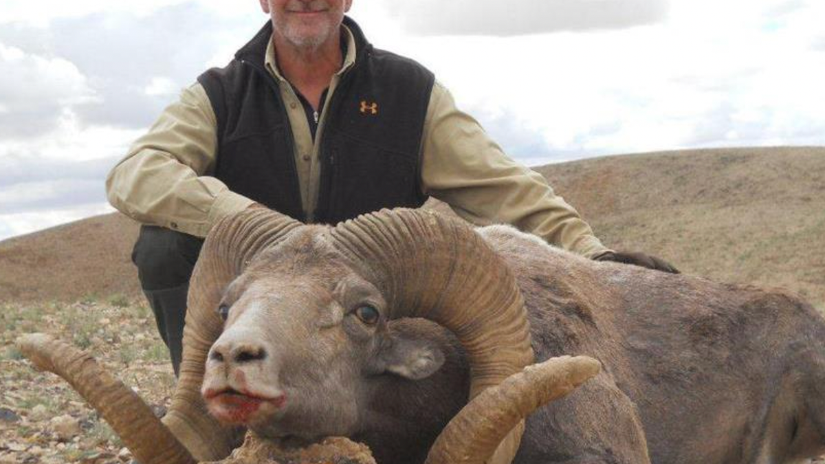 Lawrence Rudolph with a ram