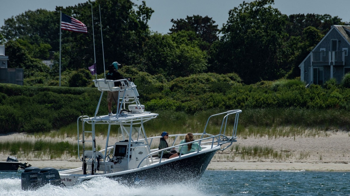 Shark research in Massachusetts