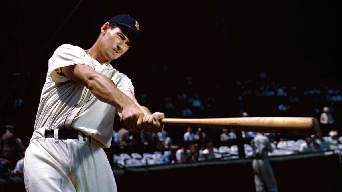 Ted Williams in spring training in 1950