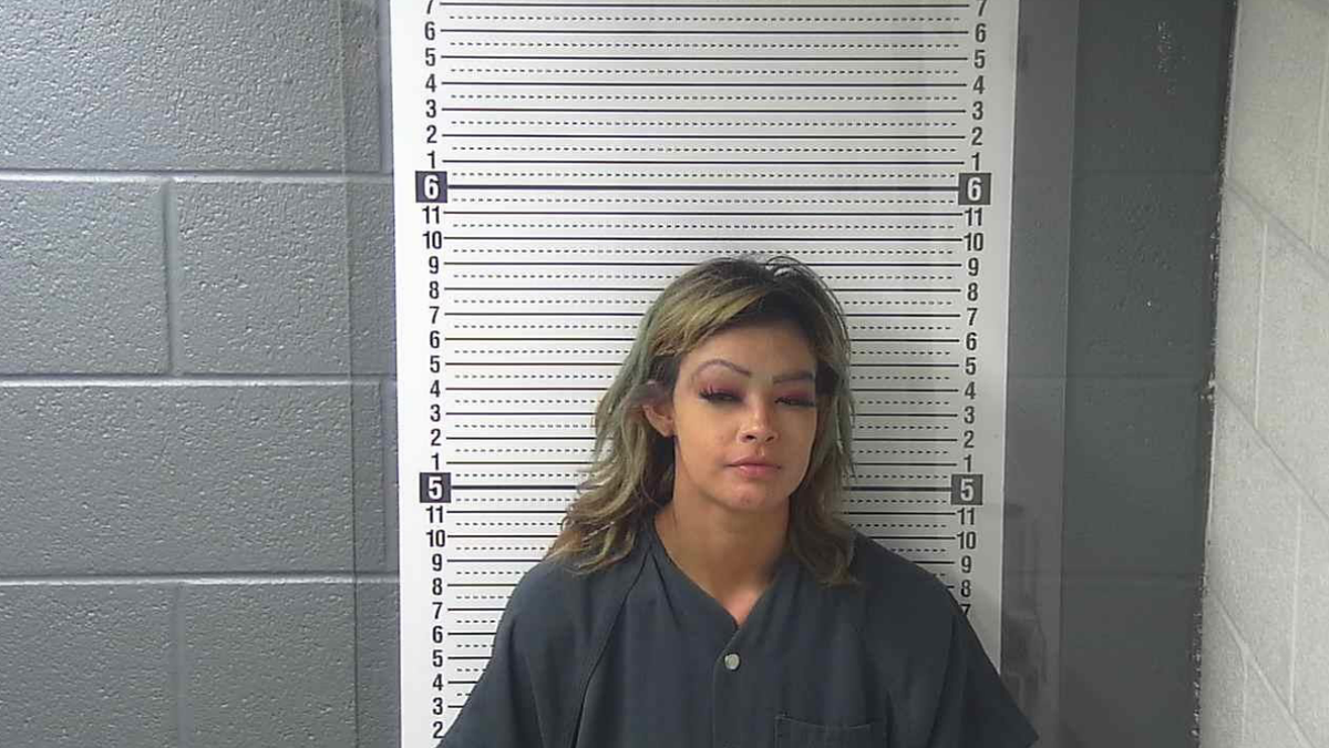 Regina Castillo Mugshot