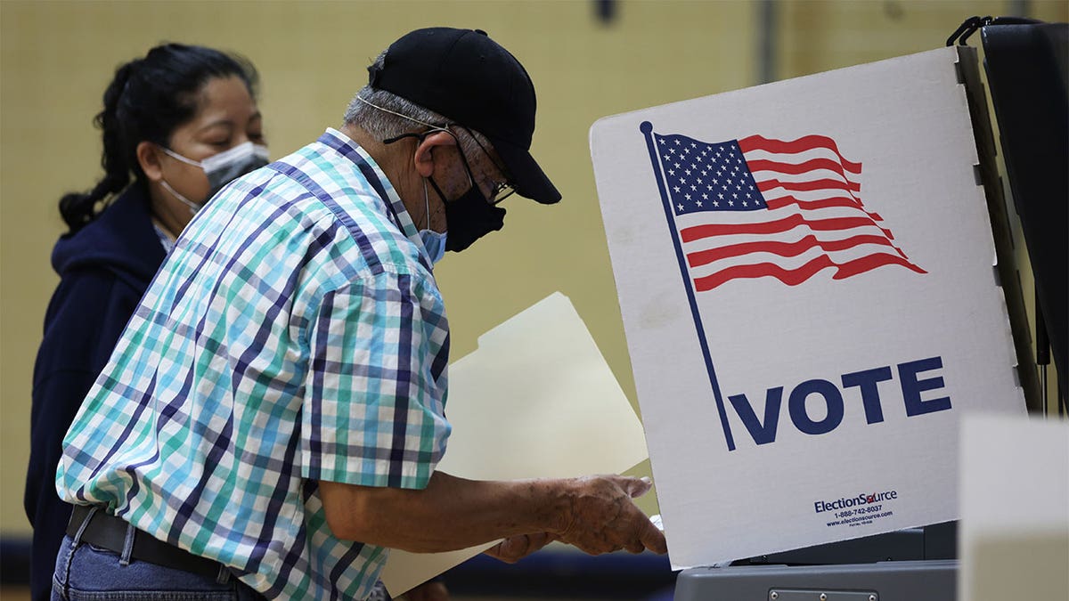 Voters at polls