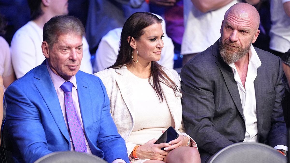 WWE's executives sit at UFC event