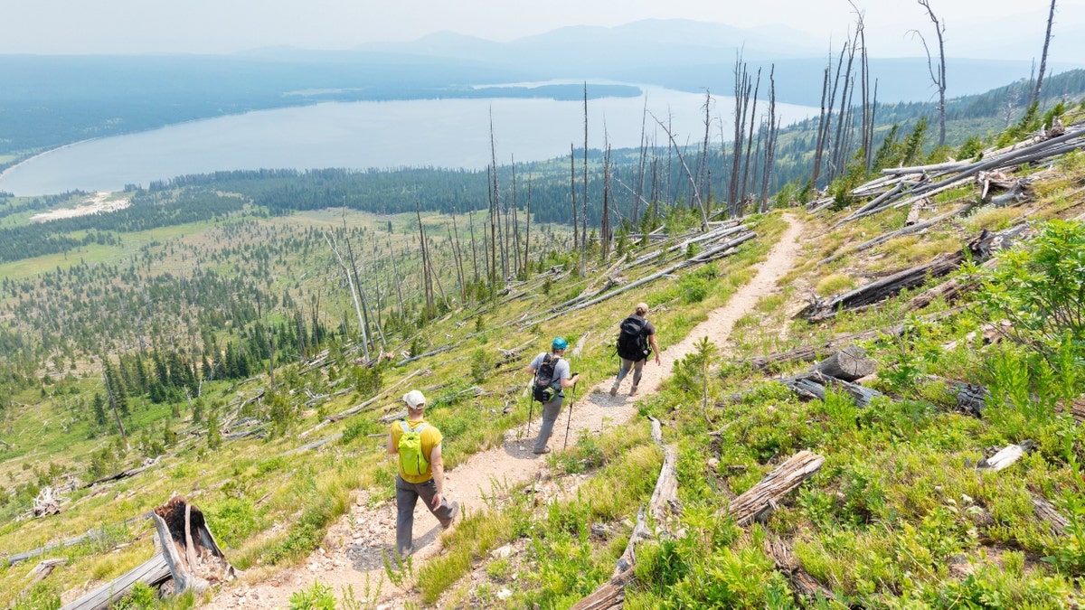 Yellowstone National Park backcountry