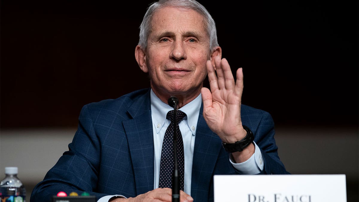 Anthony Fauci testifying on Capitol Hill