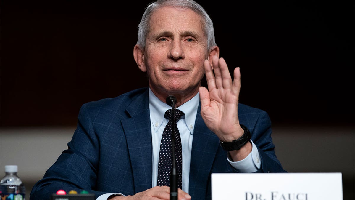 Anthony Fauci testifying on Capitol Hill in a blue suit