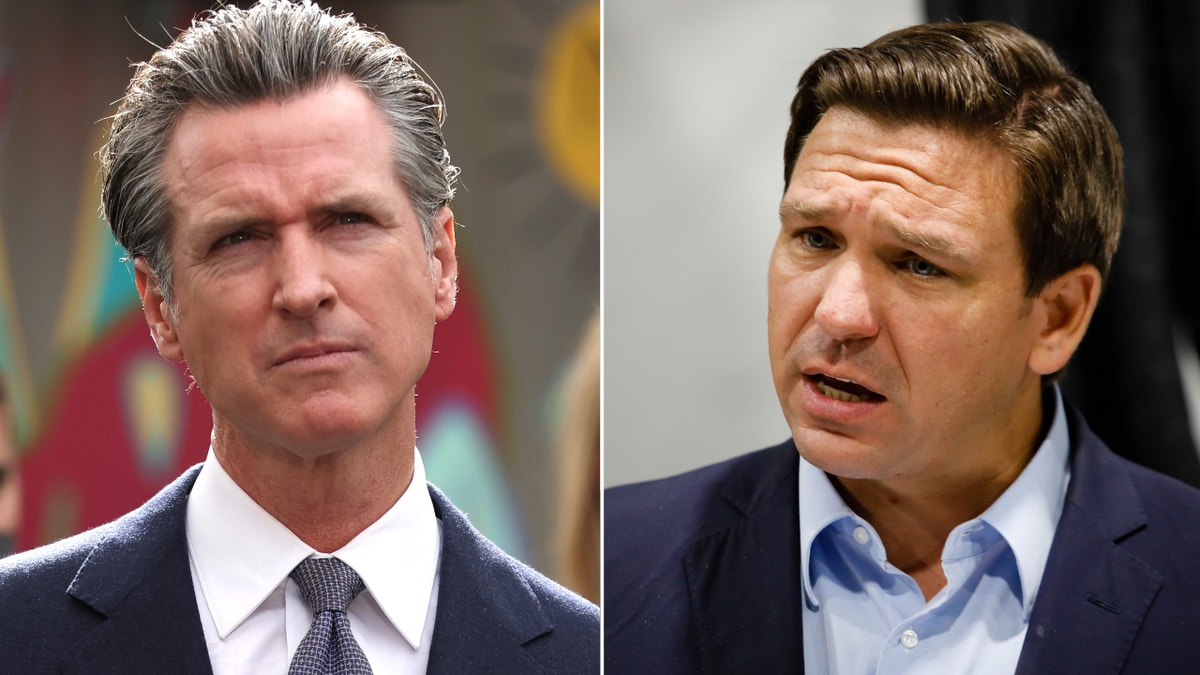 DeSantis blames Newsom s hair gel for muddling brain function