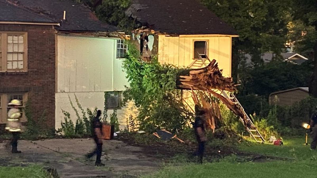 Tree crashes into Alabama home 