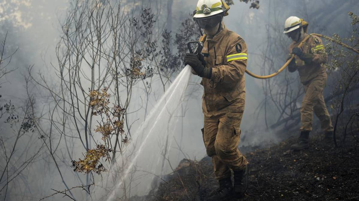 Firefighters fight blaze