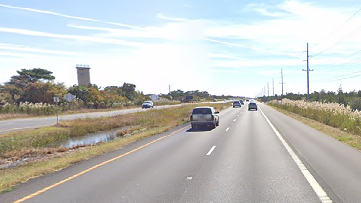 Stretch of road on the Delaware Coastal Highway