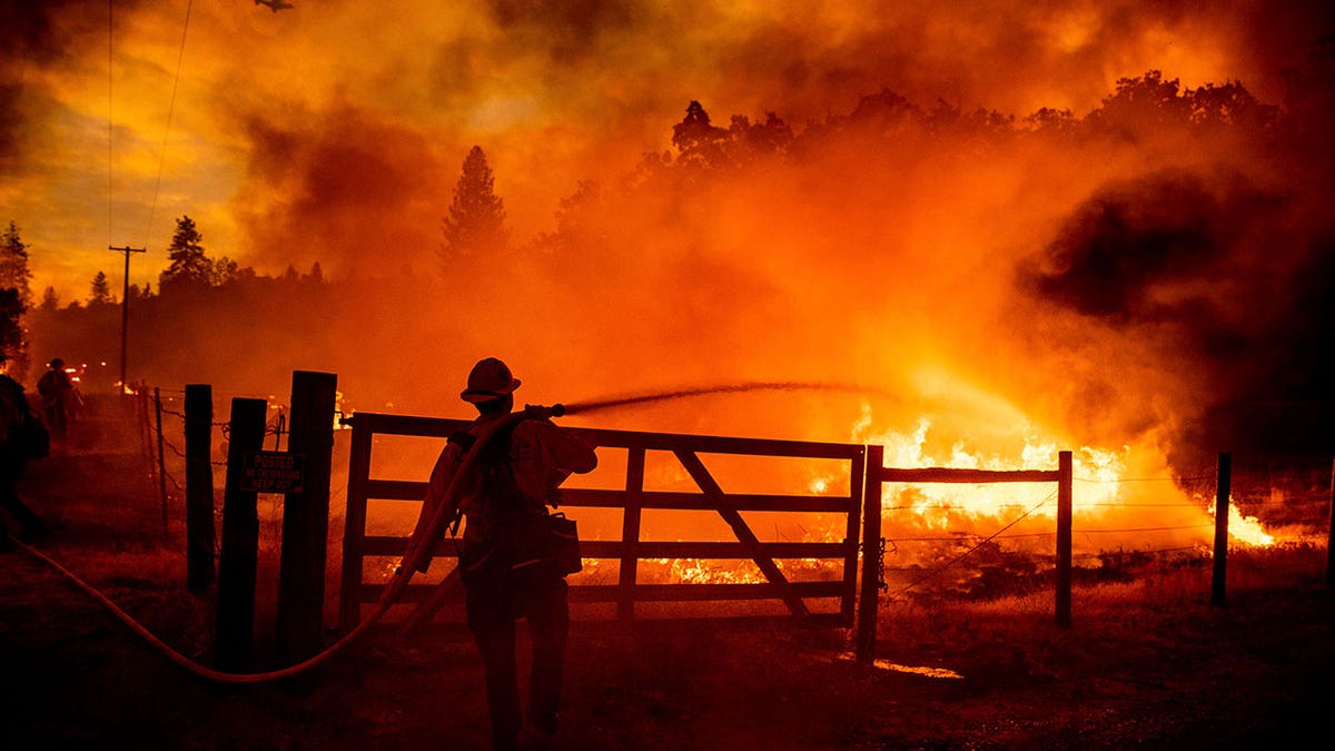 Cal Firee firefighters hoses down Oak Fire