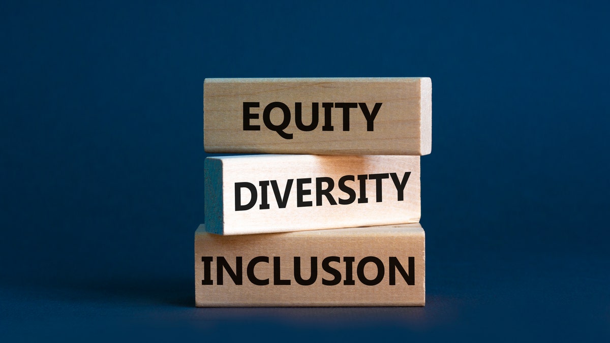 DIVERSITY EQUITY ANND INCLUSION